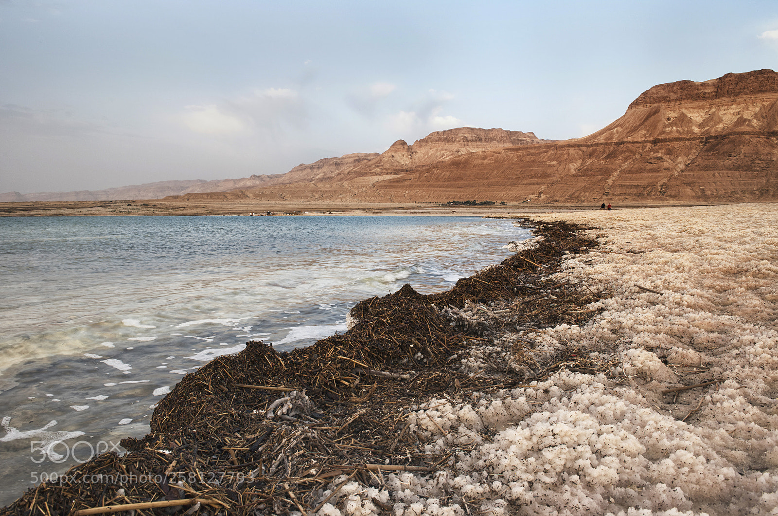 Nikon D810 sample photo. Along the beach photography
