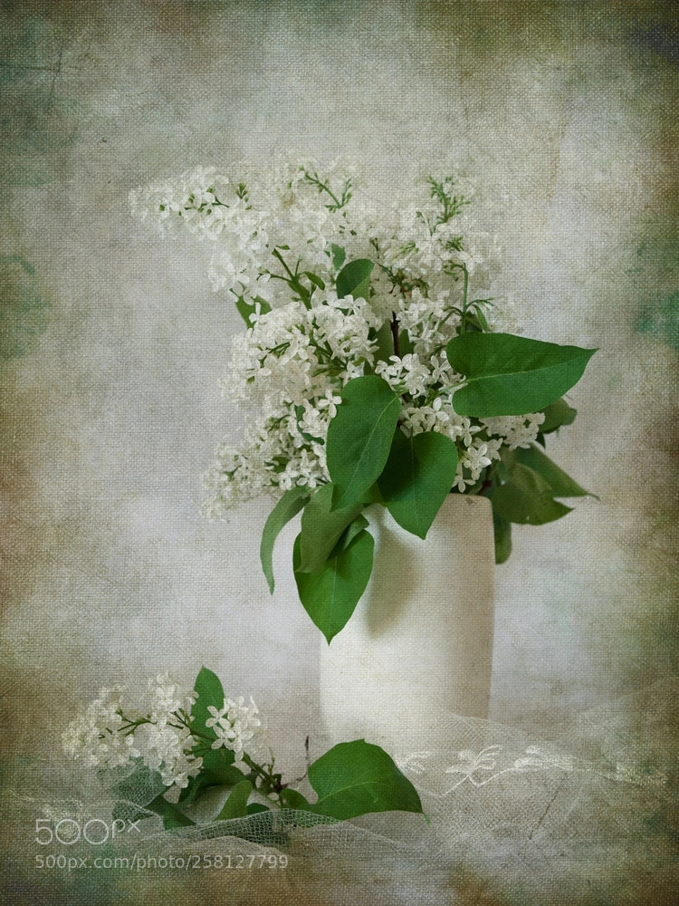Pentax K-1 sample photo. Still life with white photography