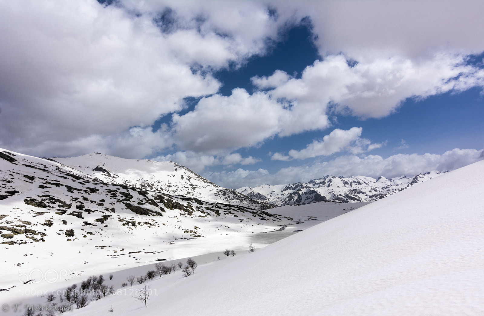 Nikon D7100 sample photo. (of ) photography
