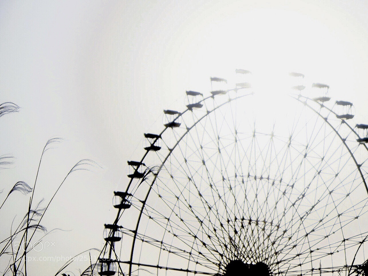 Fujifilm X-Pro1 sample photo. Round and round photography