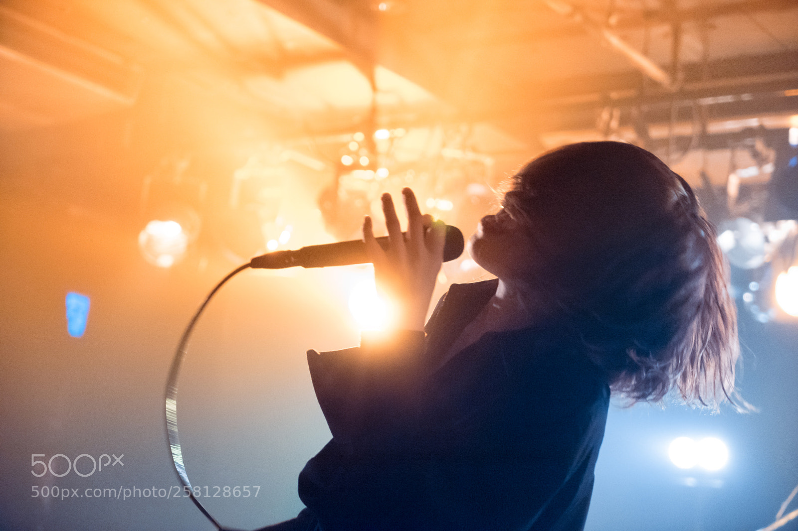 Sony a7 II sample photo. Musmus live photography