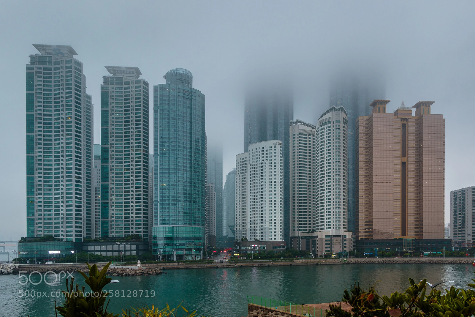 Canon EOS 7D Mark II sample photo. Busan, south korea photography