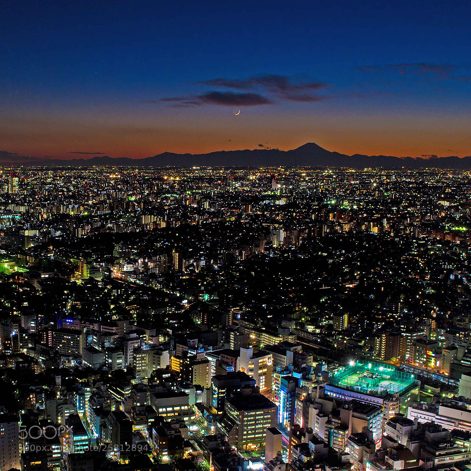 Nikon D3100 sample photo. Tokyo and the mount photography