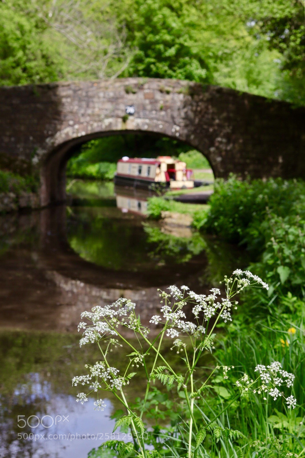 Canon EOS M50 (EOS Kiss M) sample photo. Canal scene photography