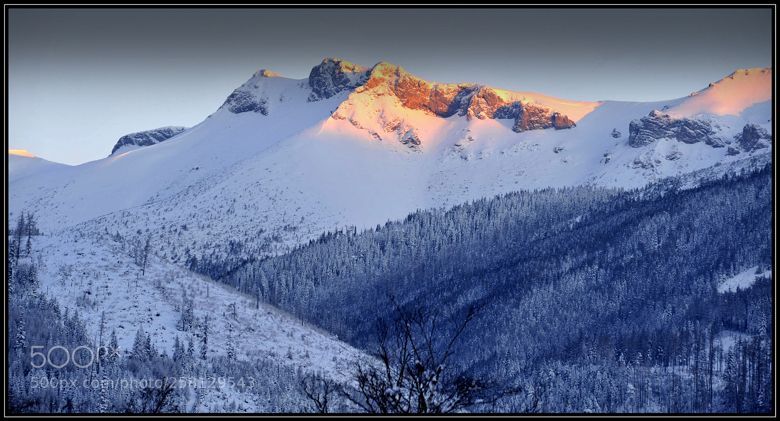 Nikon D700 sample photo. Vysoké tatry 1 photography