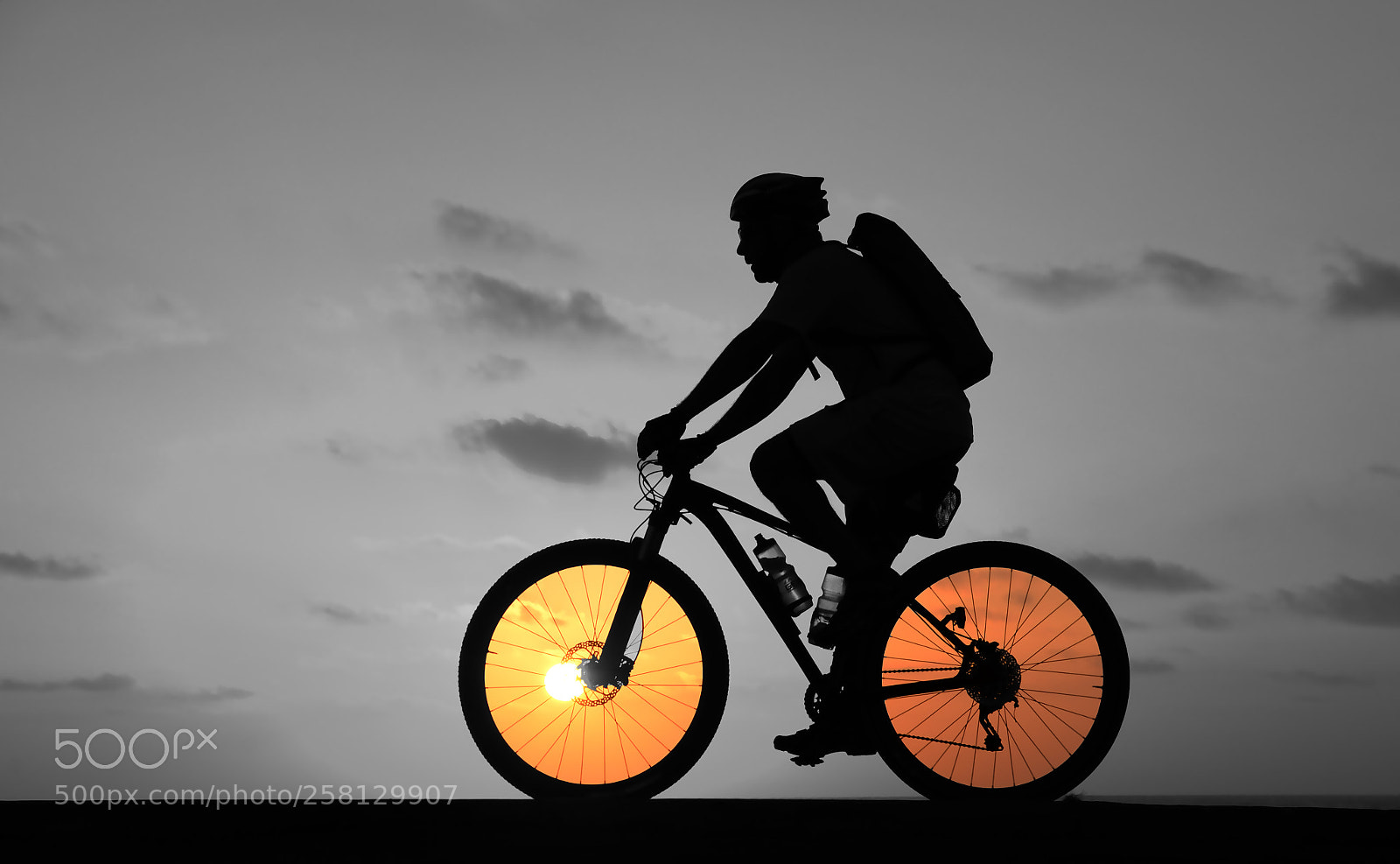 Nikon D610 sample photo. Ride with the sun photography