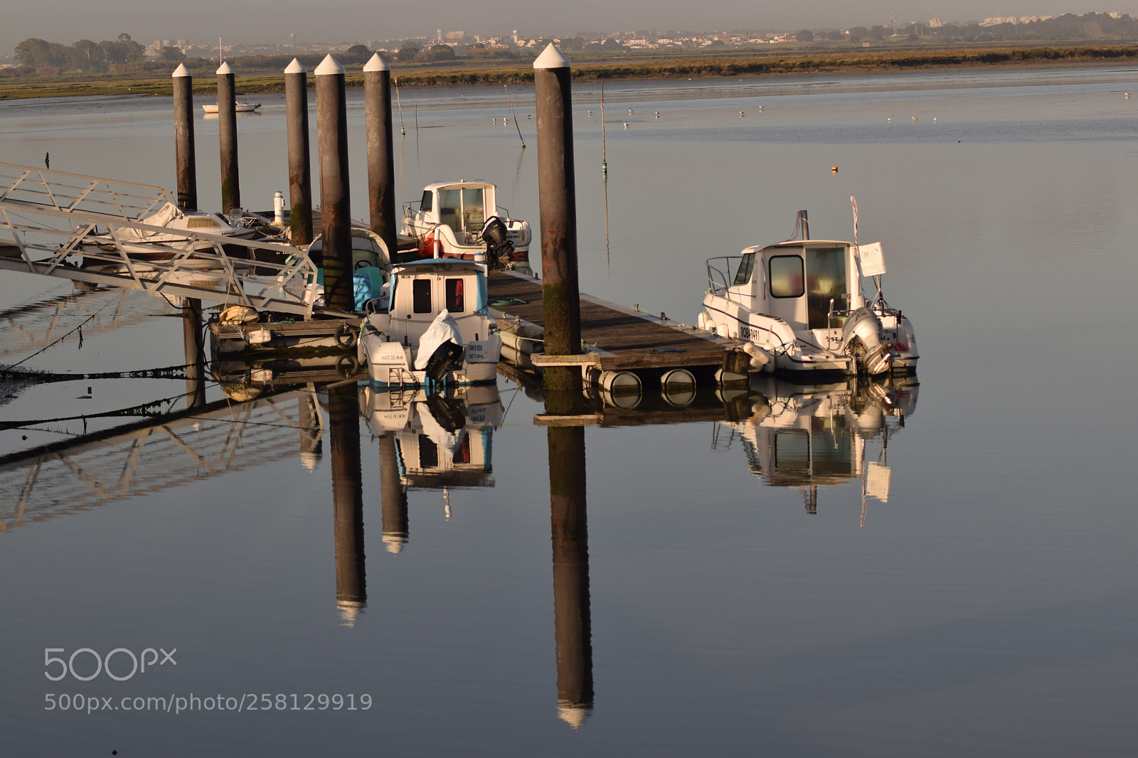 Nikon D3300 sample photo. Reflect photography