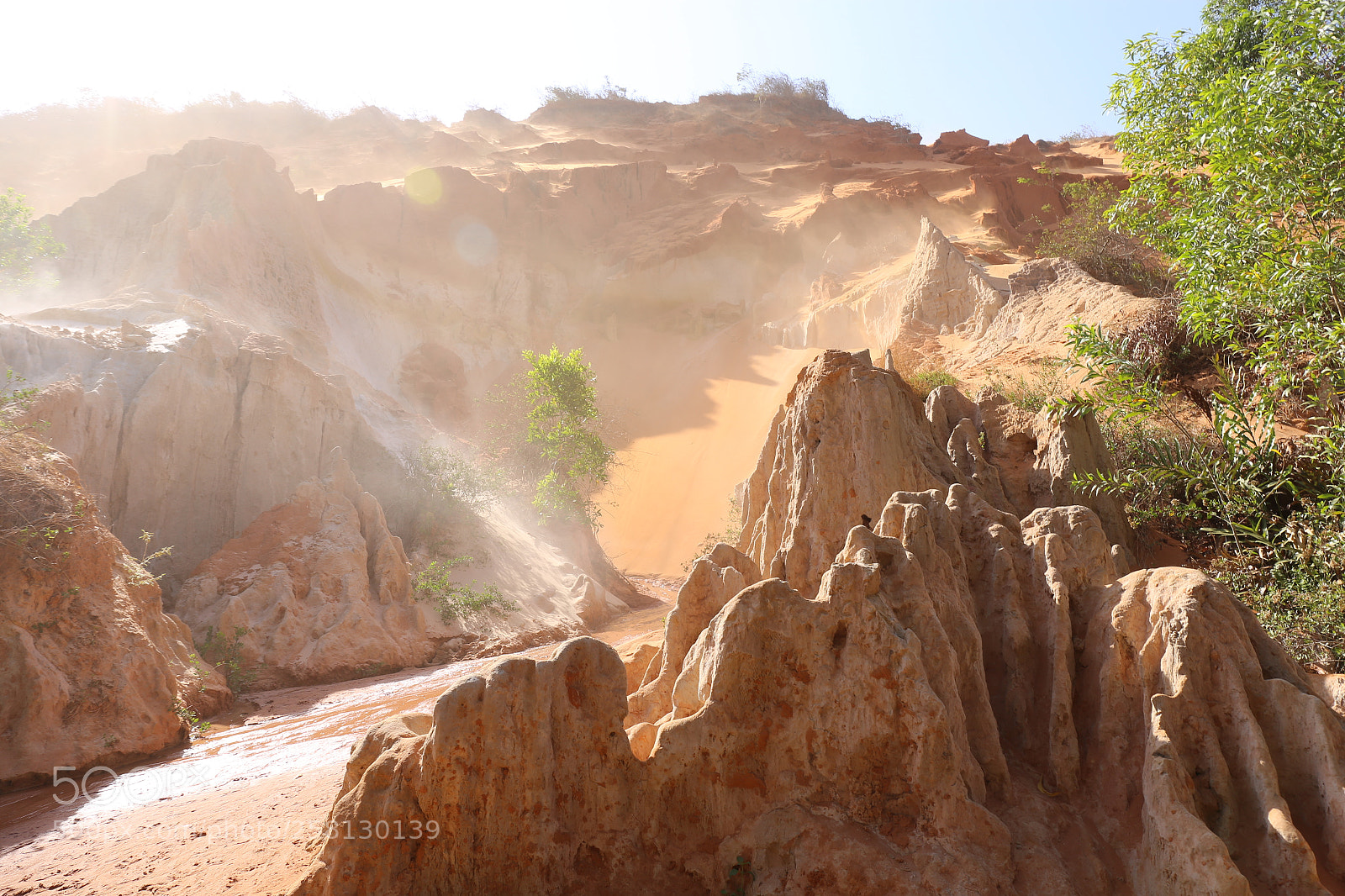 Canon EF 24-70mm F4L IS USM sample photo. Suoi tien photography