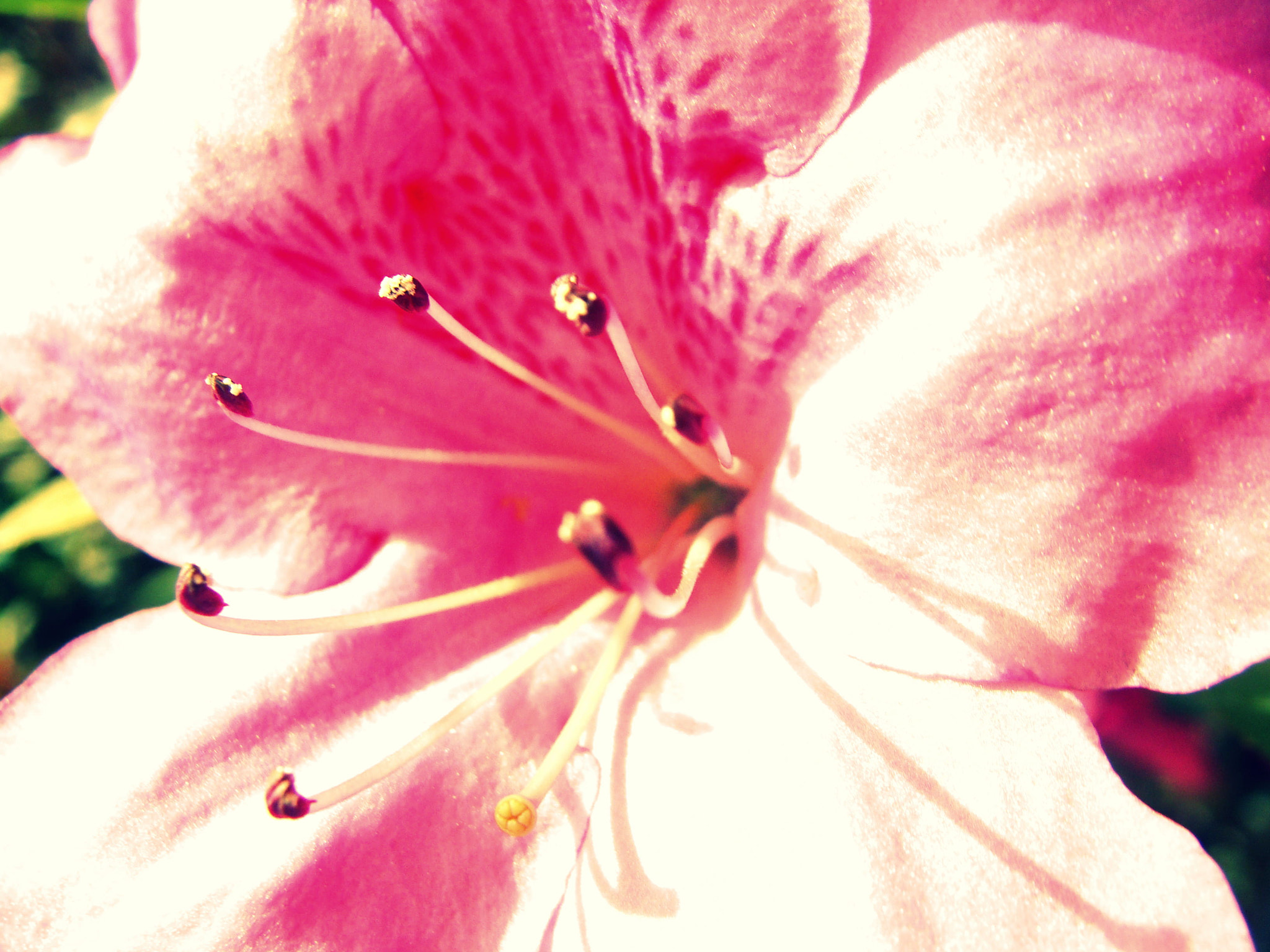 Sony Cyber-shot DSC-H10 sample photo. 158.jpg photography