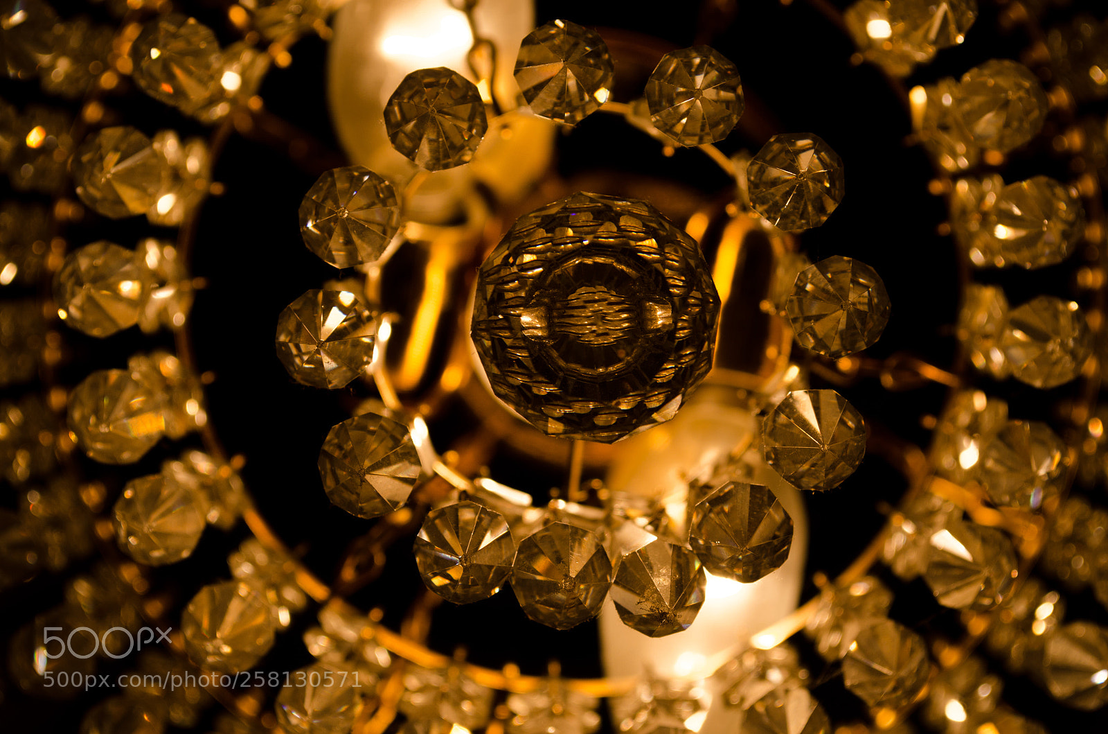 Nikon D5100 sample photo. 177.jpg photography