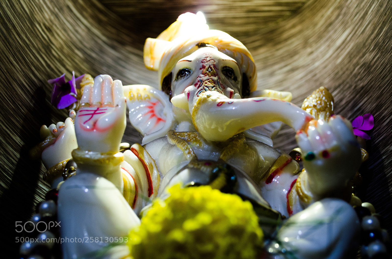 Nikon D5100 sample photo. 185.jpg photography