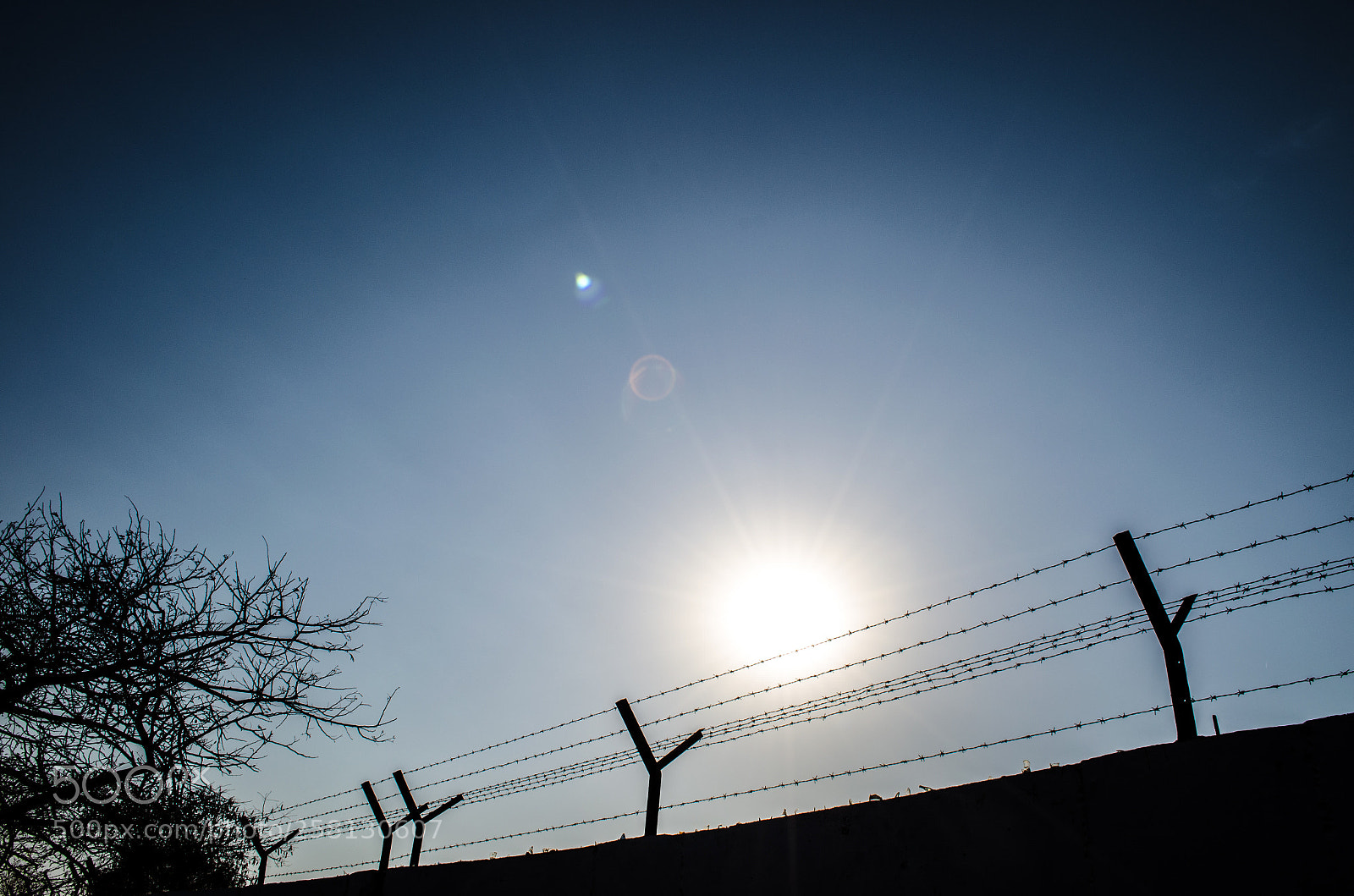 Nikon D5100 sample photo. 191.jpg photography