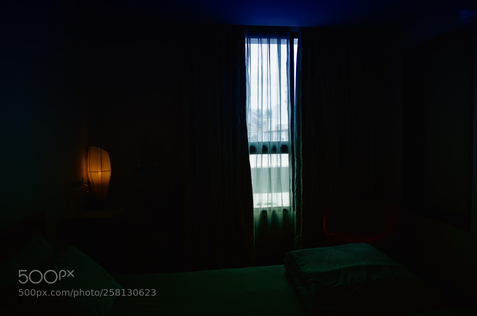 Nikon D5100 sample photo. 197.jpg photography