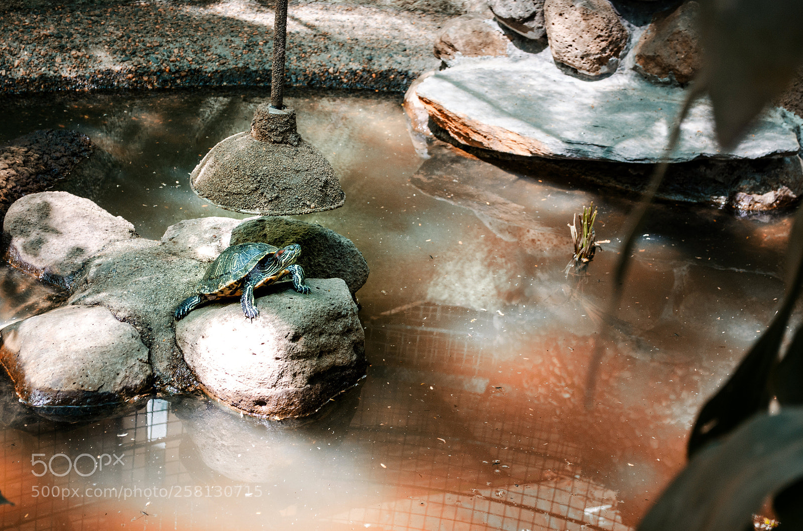 Nikon D5100 sample photo. 208.jpg photography