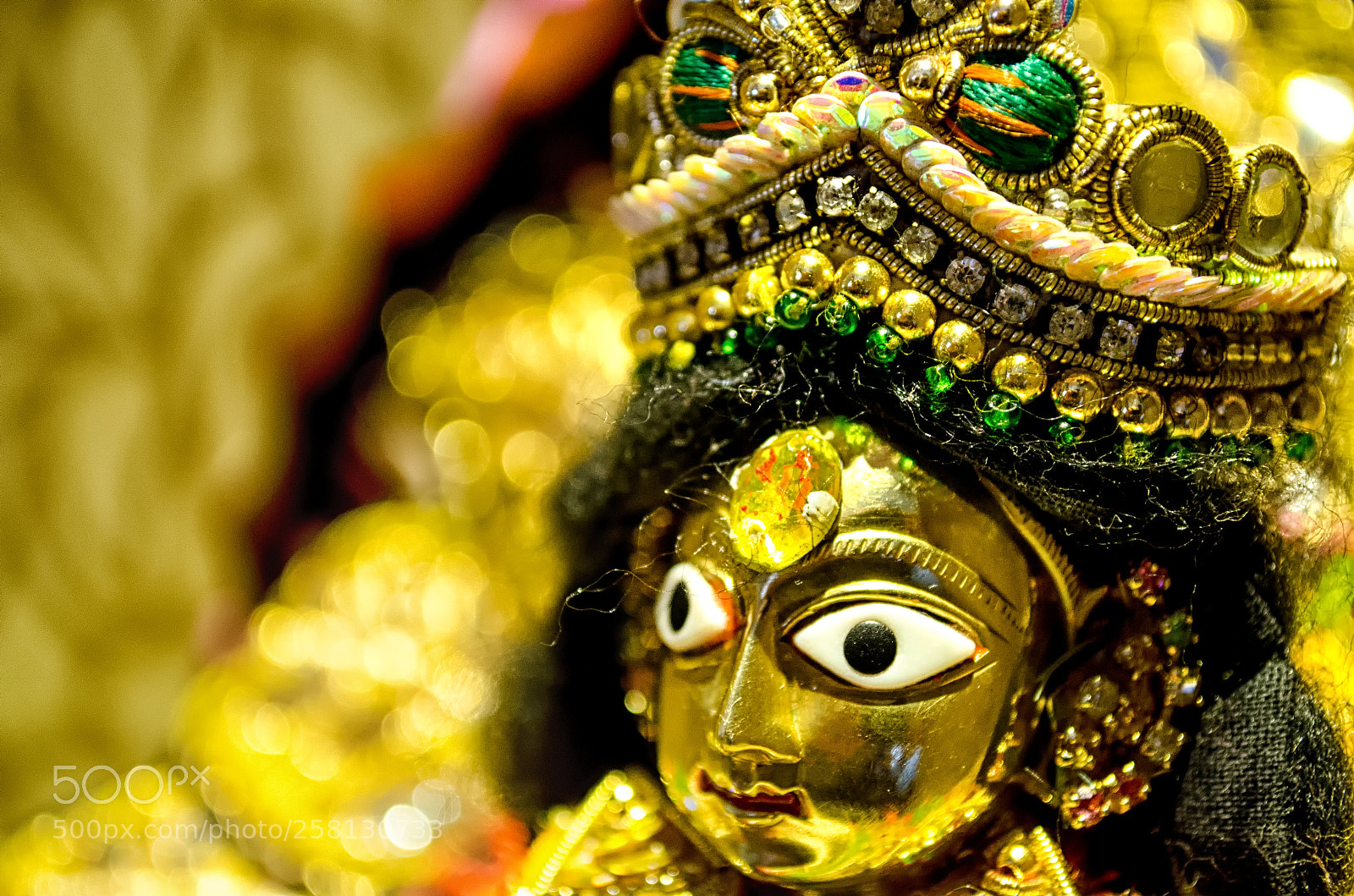 Nikon D5100 sample photo. 216.jpg photography