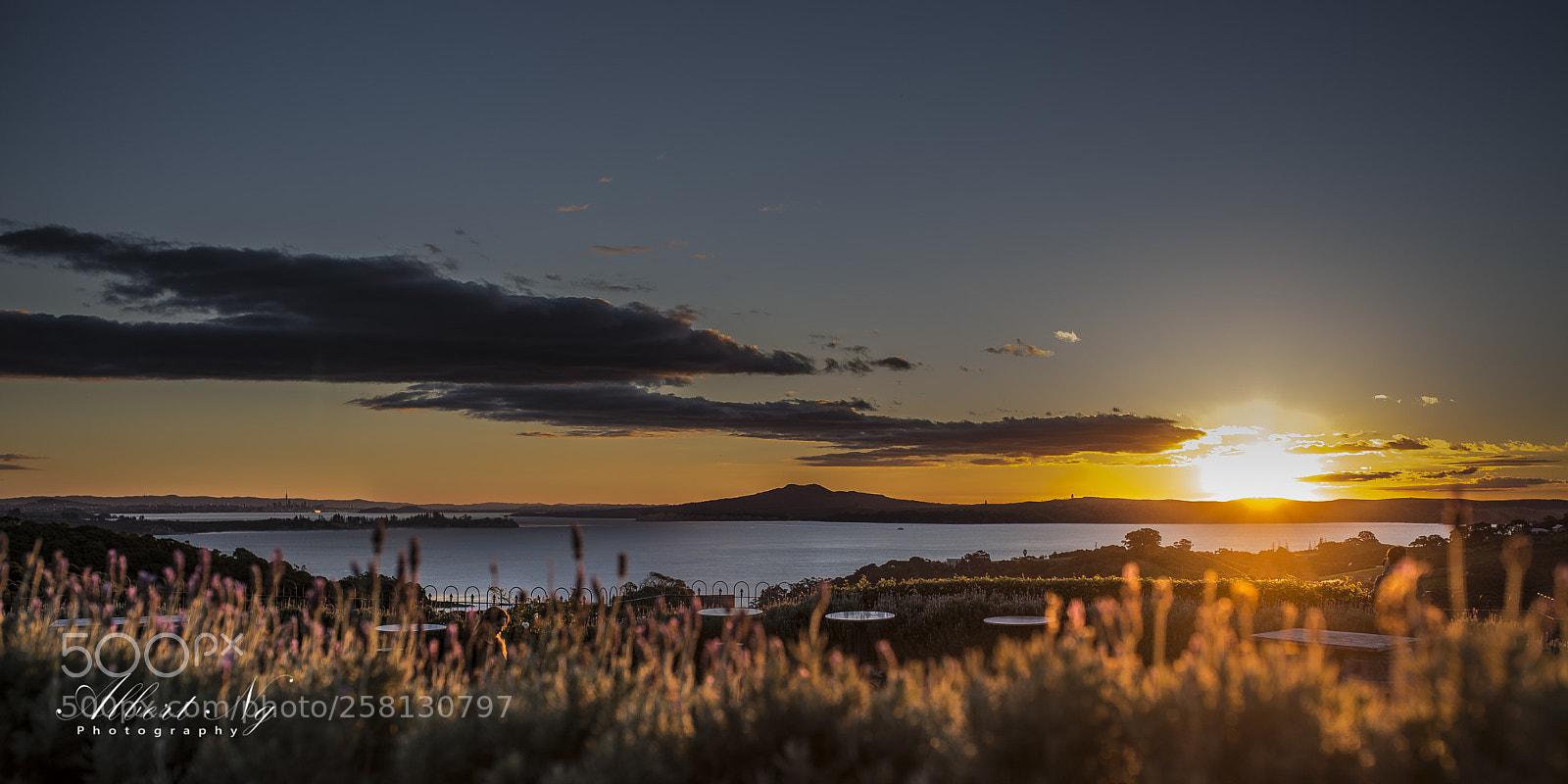 Nikon D750 sample photo. Sunset over rangitoto island photography