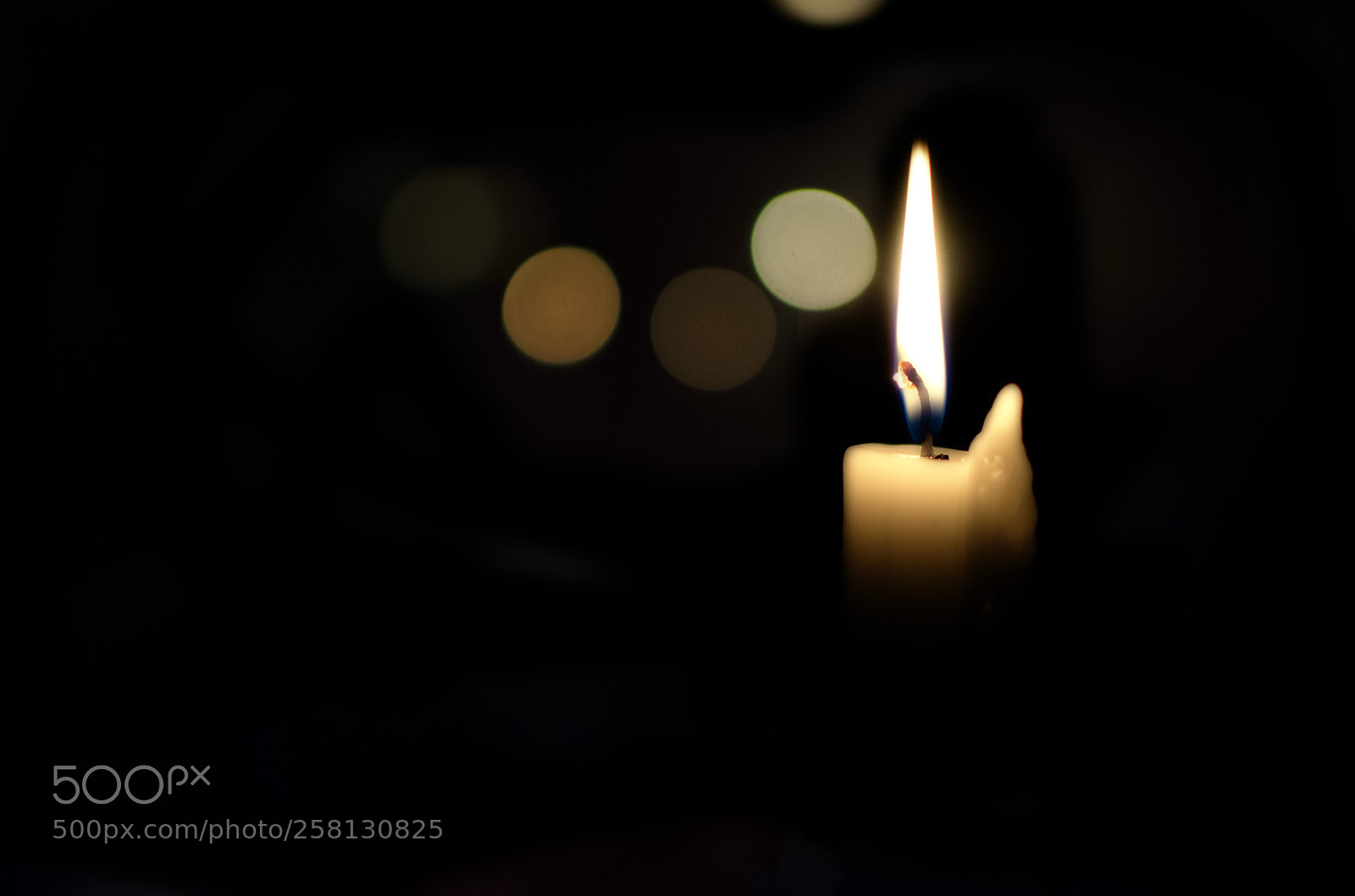 Nikon D5100 sample photo. 242.jpg photography