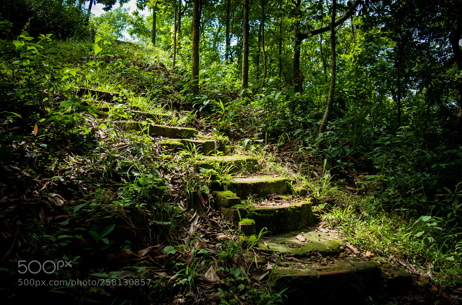 Nikon D5200 sample photo. Stairway to heaven photography