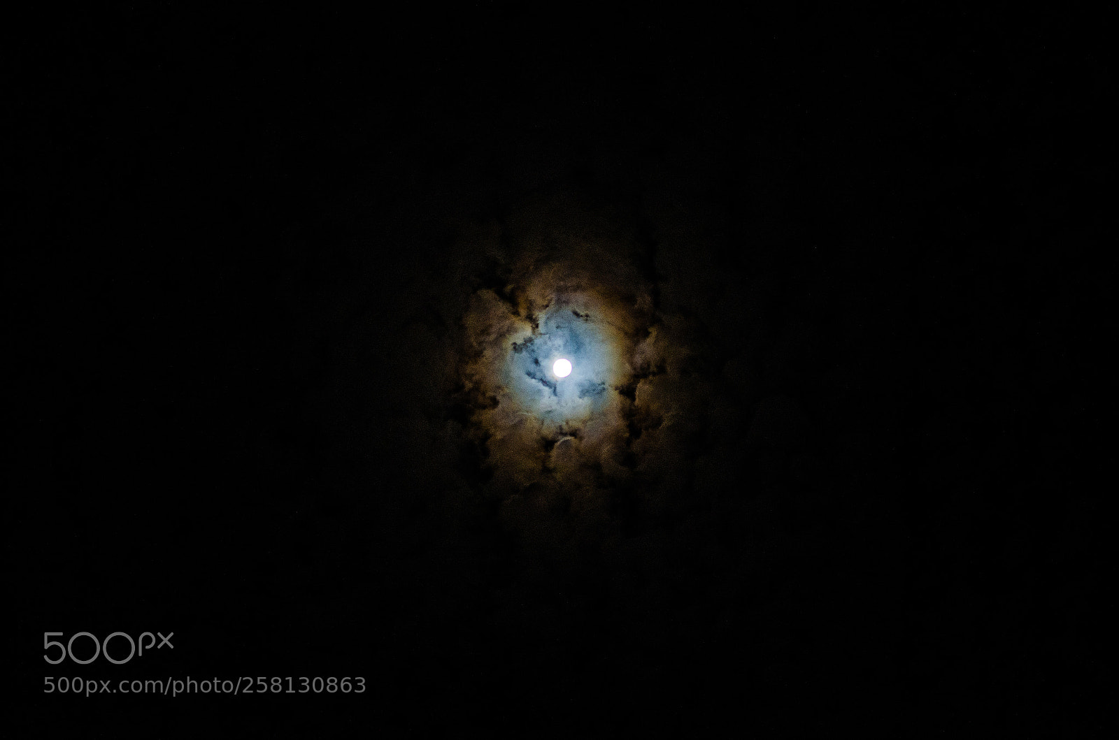 Nikon D5100 sample photo. 255.jpg photography