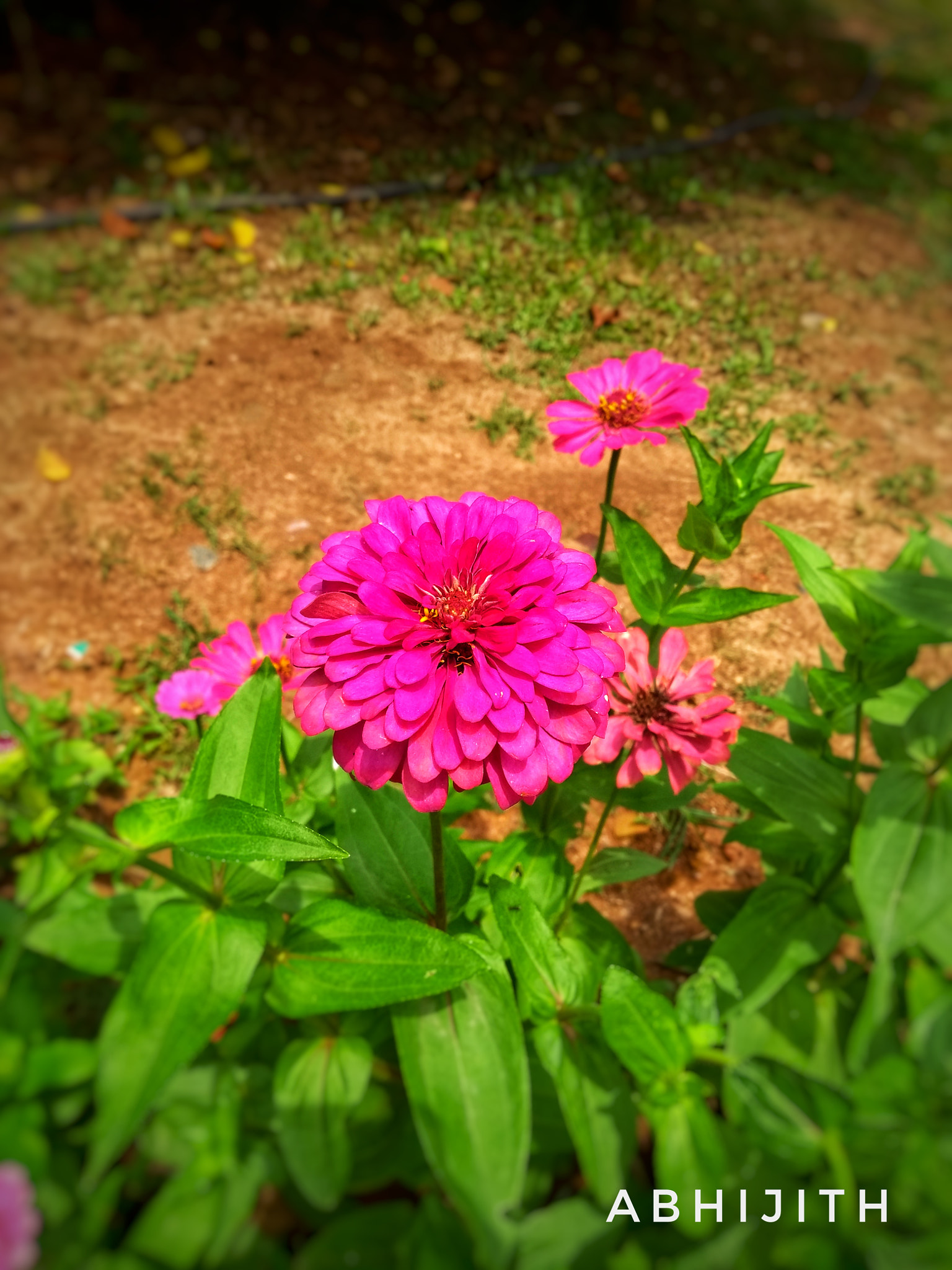 Motorola Moto G (5th Gen) sample photo