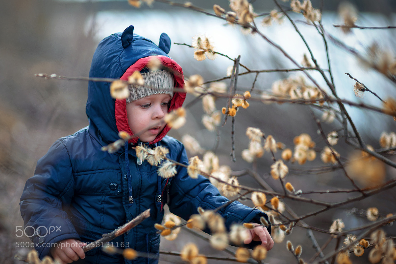 Nikon D610 sample photo. * photography