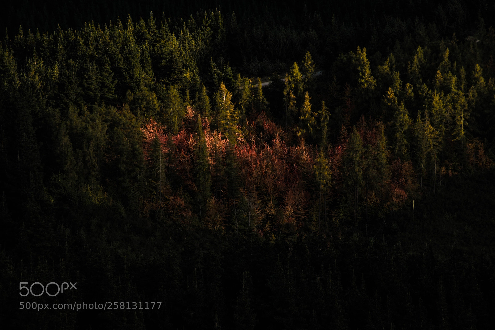 Nikon D5500 sample photo. Last light photography