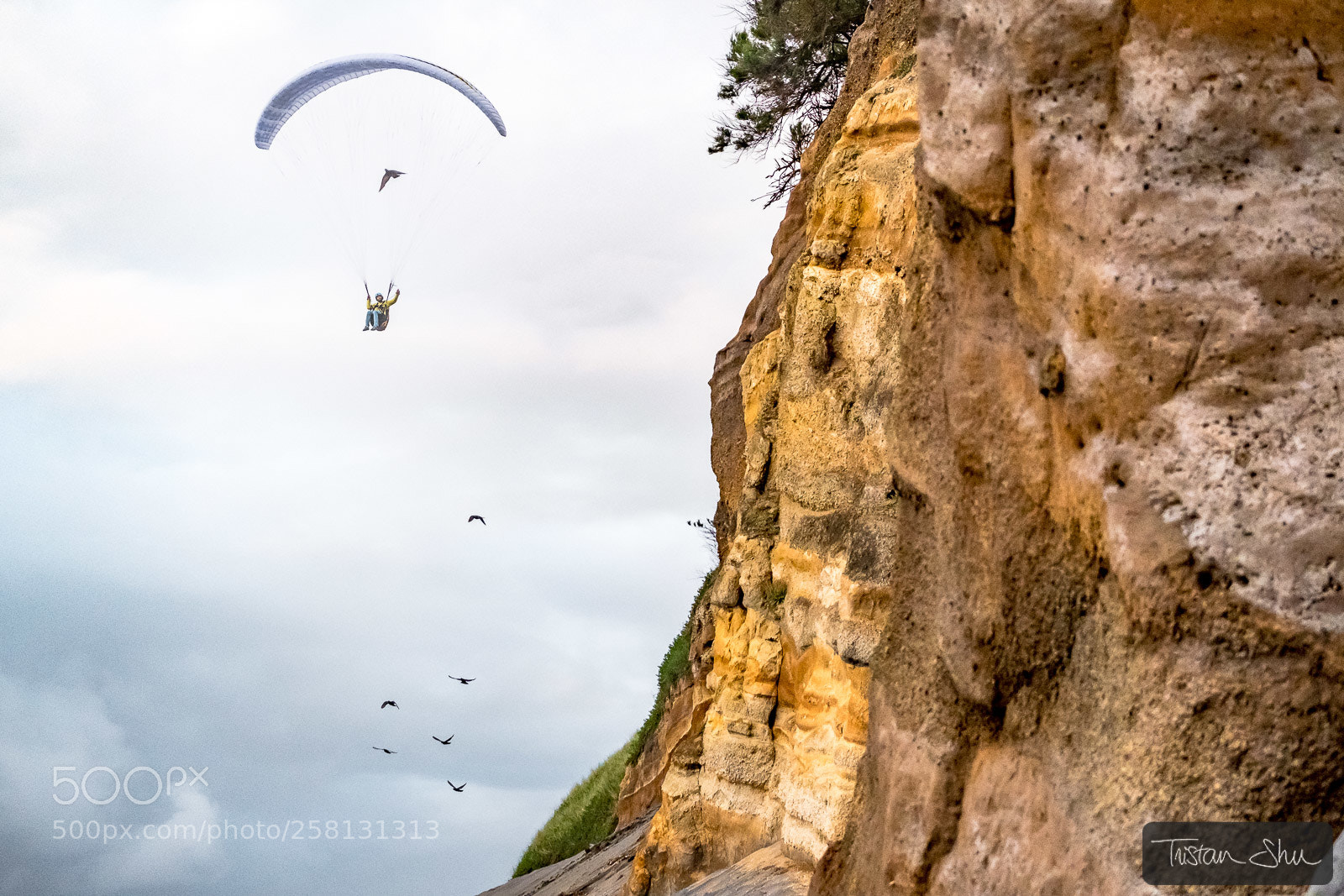 Fujifilm X-T2 sample photo. Flying birds with guillaume photography