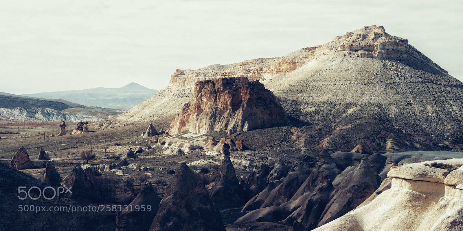 Sony a7 II sample photo. Mars on earth photography