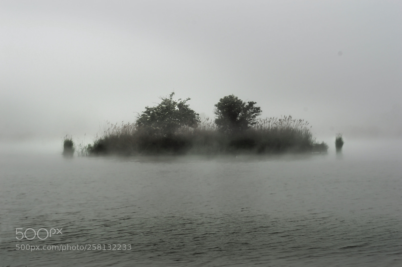 Nikon D3200 sample photo. Morning fog #1 photography