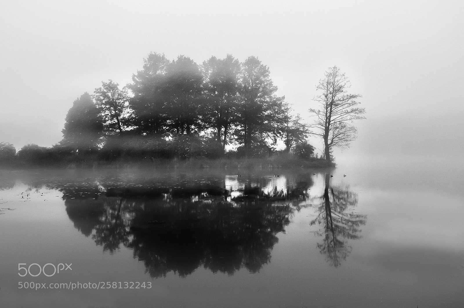 Nikon D3200 sample photo. Morning fog #2 photography