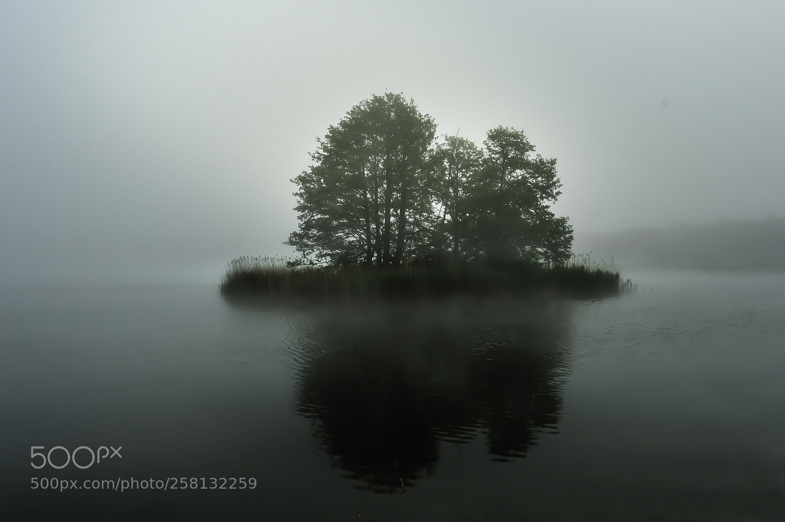 Nikon D3200 sample photo. Morning fog #3 photography