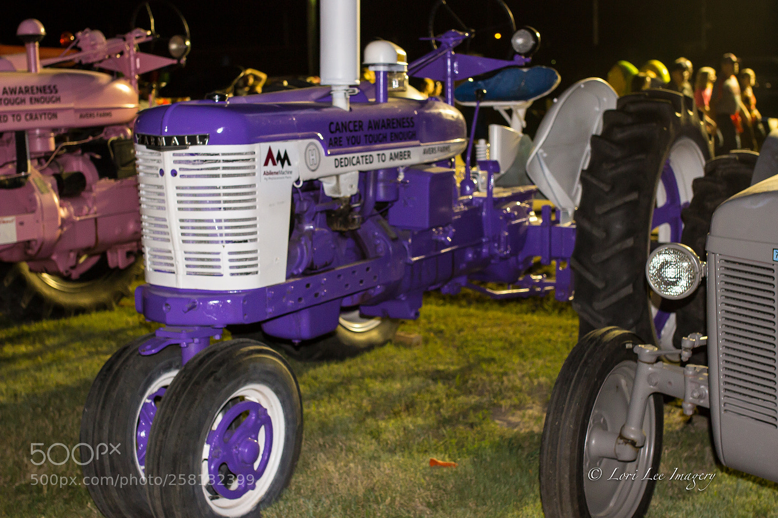 Canon EOS 600D (Rebel EOS T3i / EOS Kiss X5) sample photo. Purple tractor photography