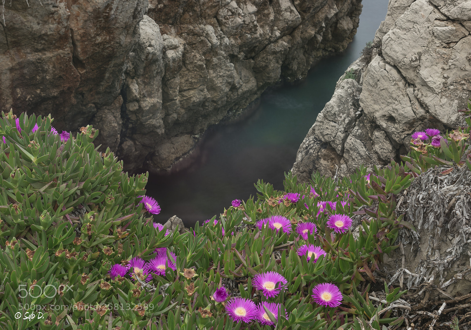 Nikon D750 sample photo. Vue plongeante... photography