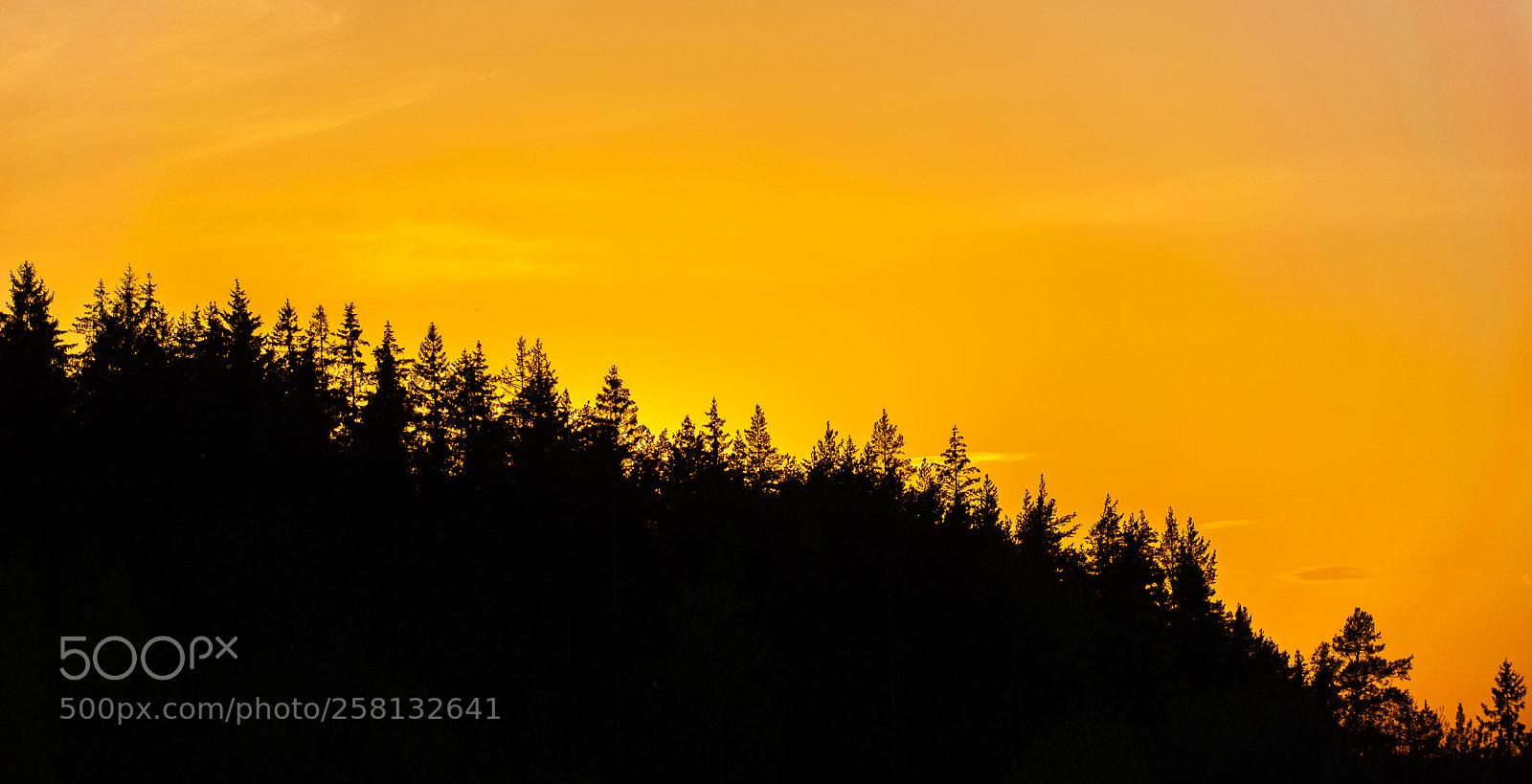 Nikon D700 sample photo. Dusk photography