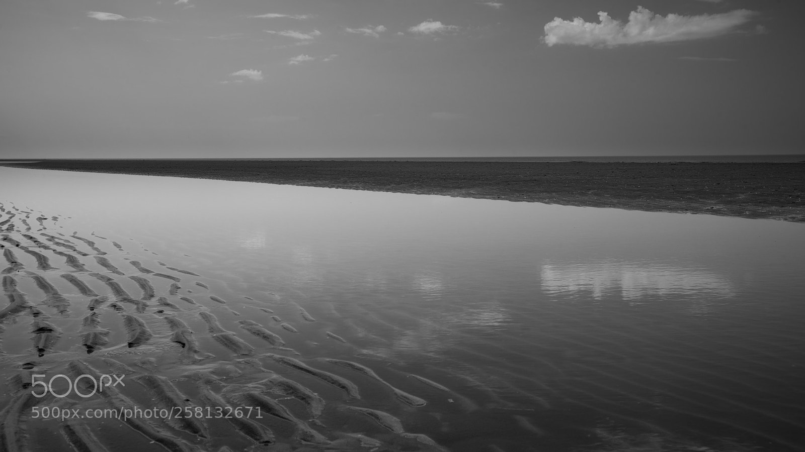 Nikon D750 sample photo. Low tide simplicity photography