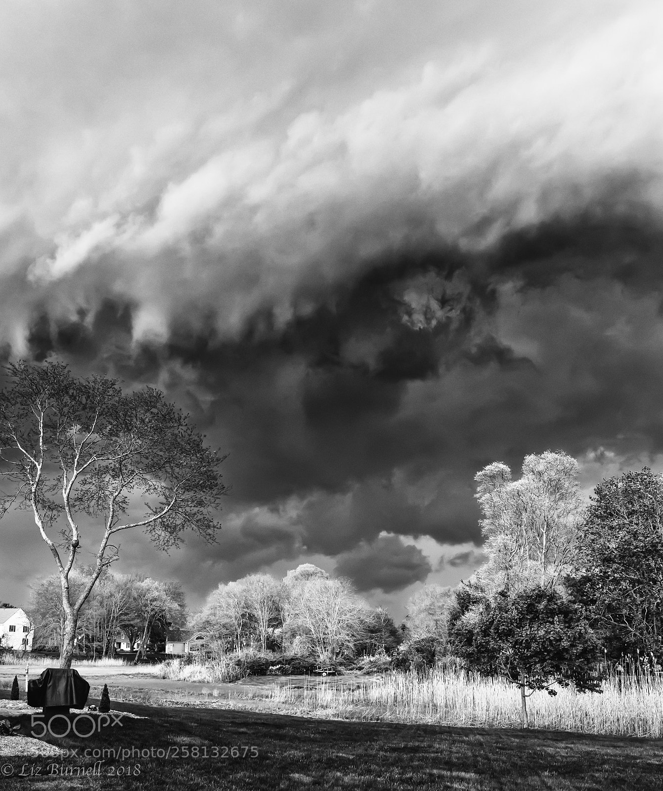 Canon EOS 5D Mark IV sample photo. Monster in the sky! photography