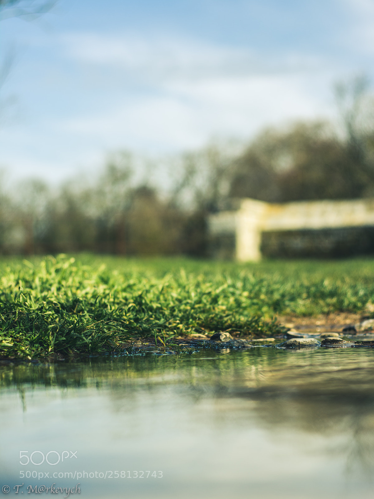 Nikon D7100 sample photo. (of ) photography