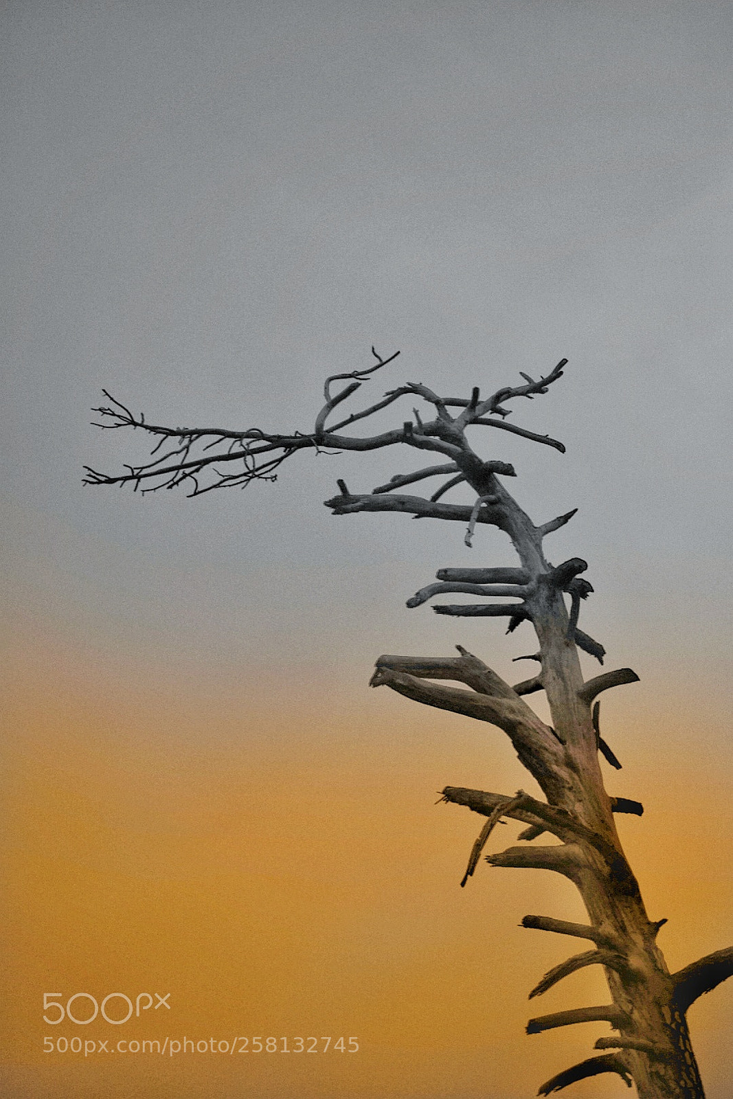 Nikon D5300 sample photo. Untitled photography