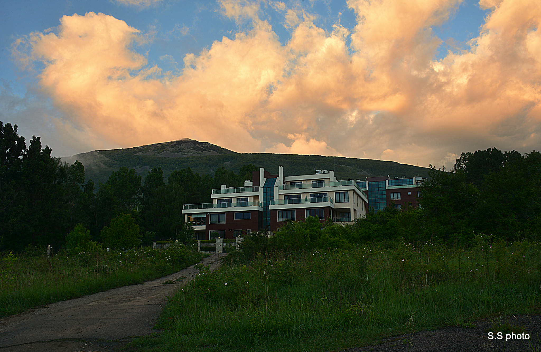 Nikon D7100 sample photo