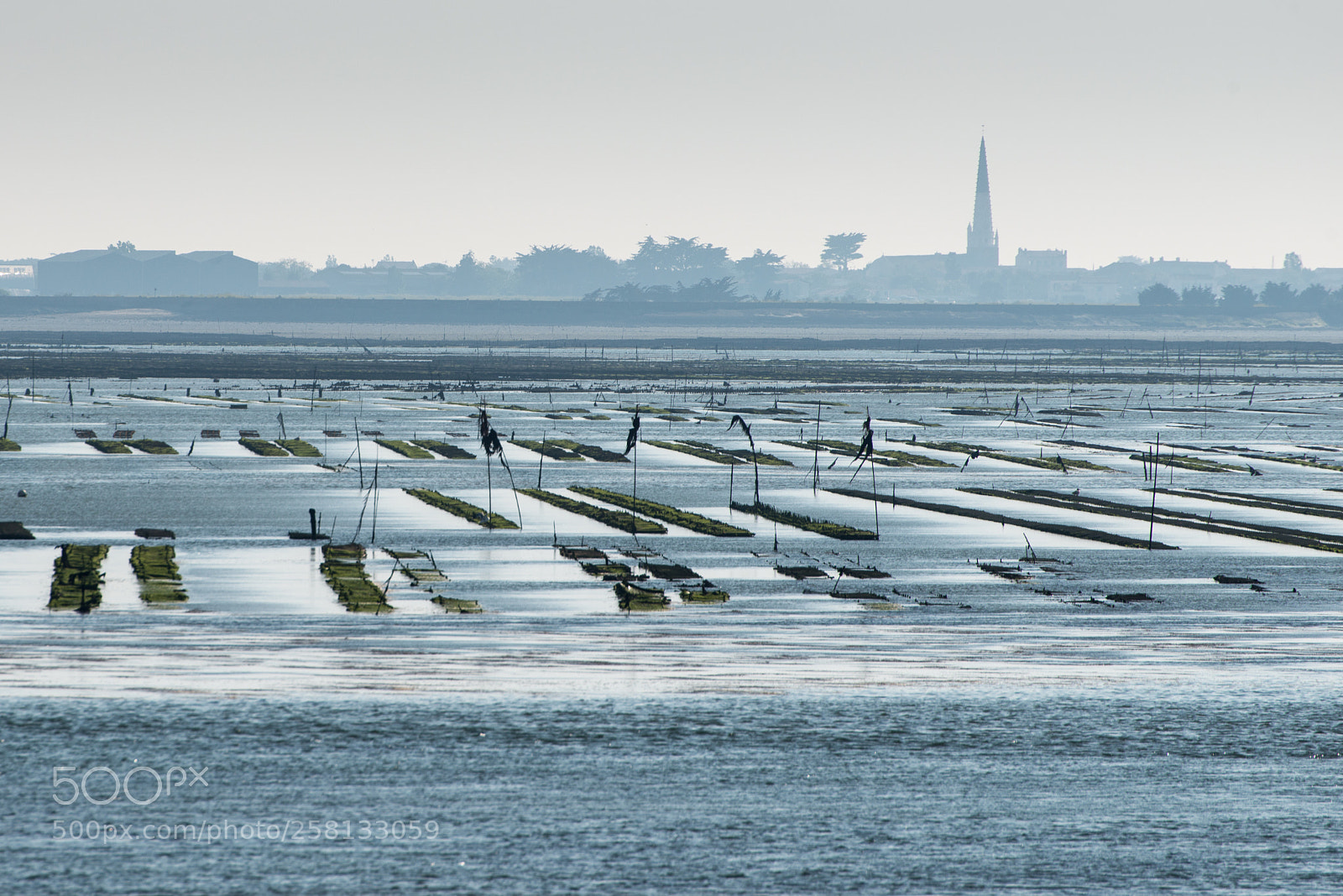 Nikon D800 sample photo. Low tide at ars photography