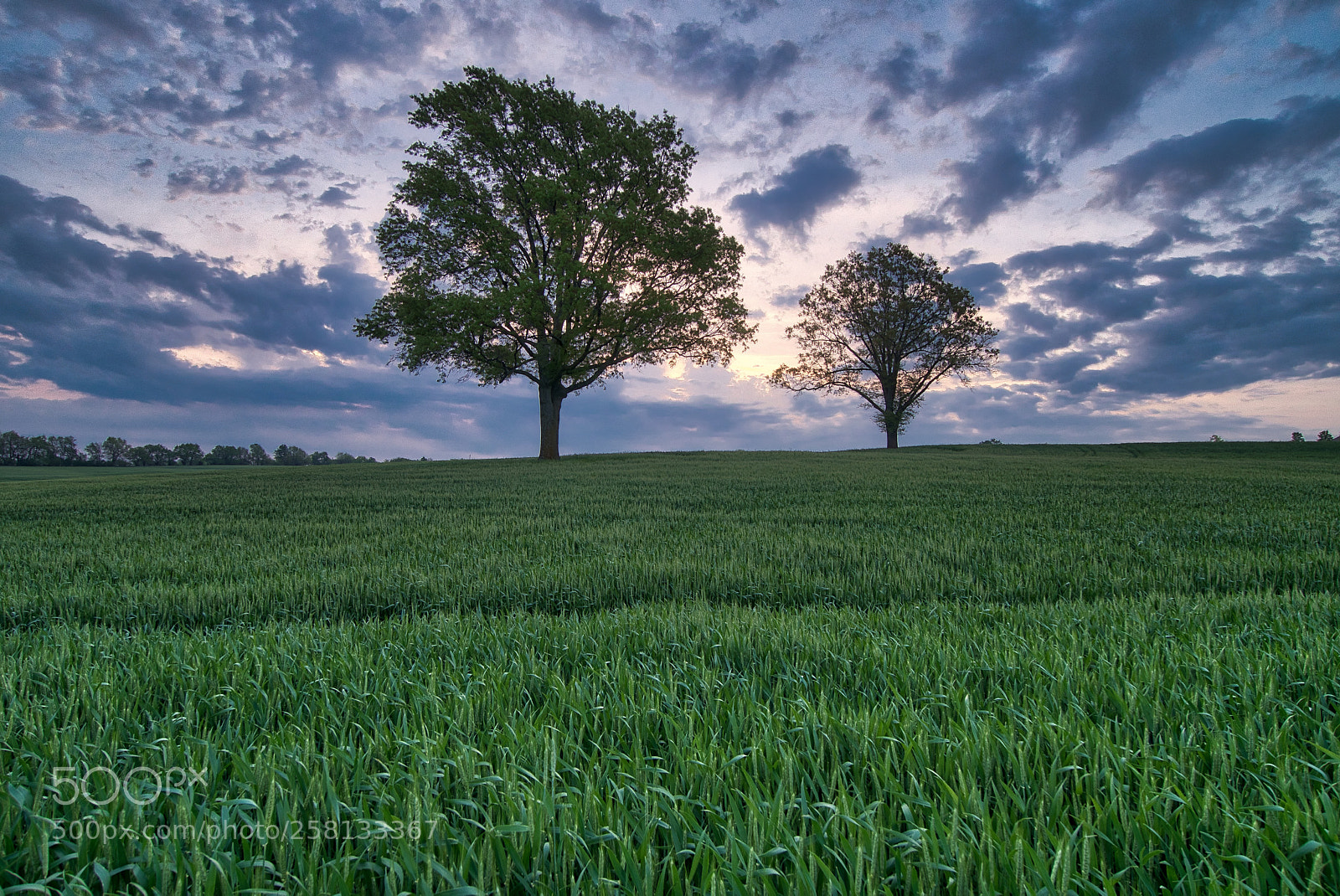 Sony a6500 sample photo. Dsc photography