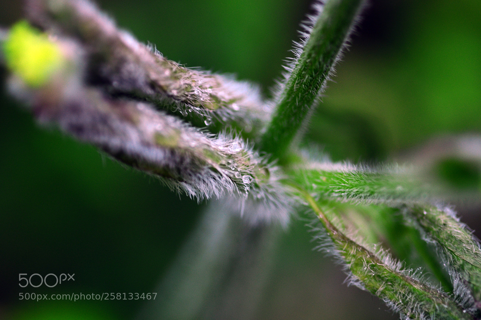 Nikon D90 sample photo. Geometry photography