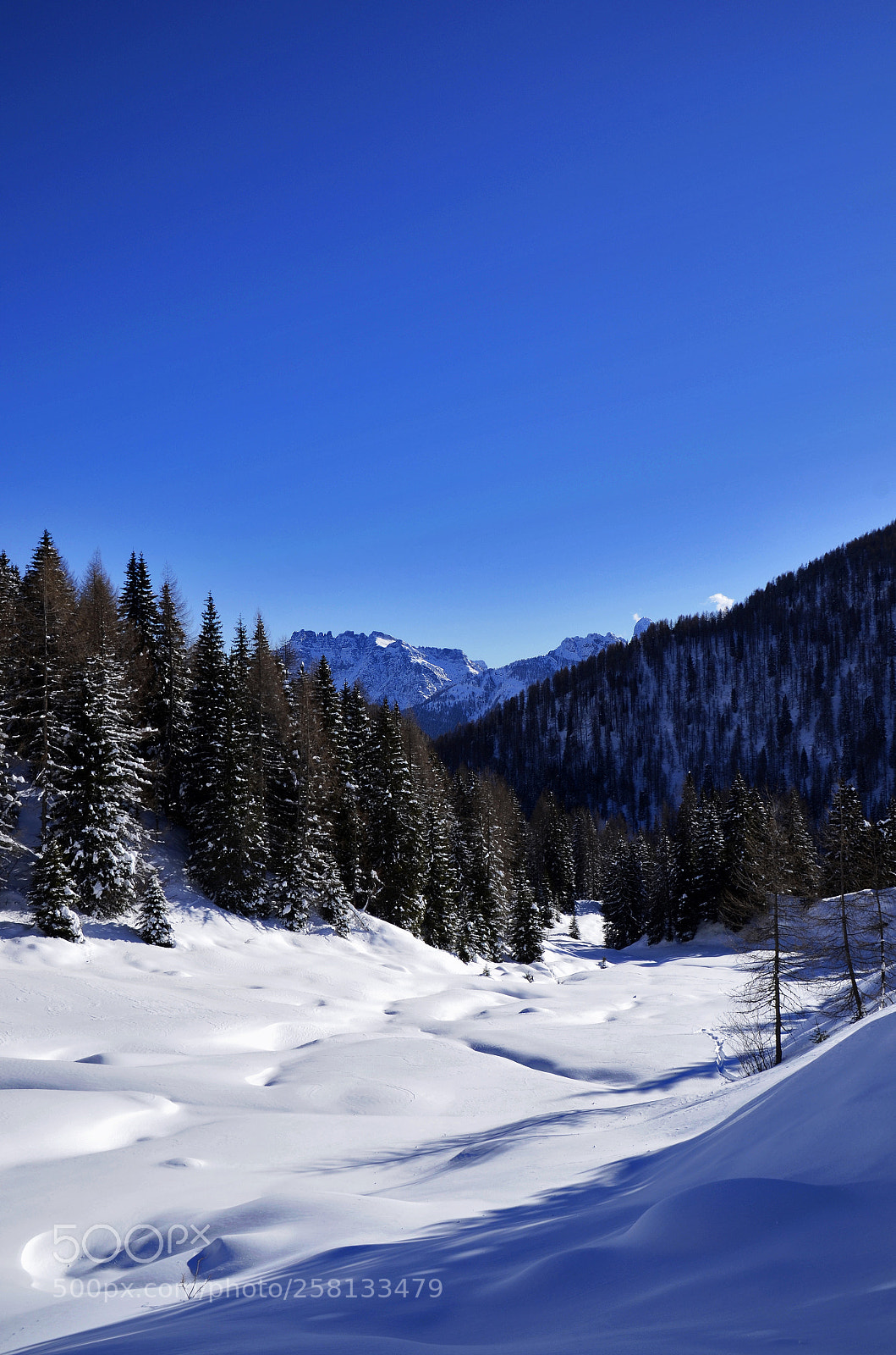 Nikon D7000 sample photo. Just a landscape photography