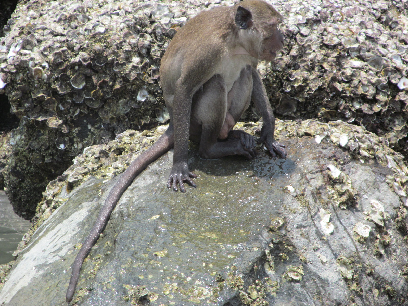 Canon PowerShot SX150 IS sample photo. Img photography