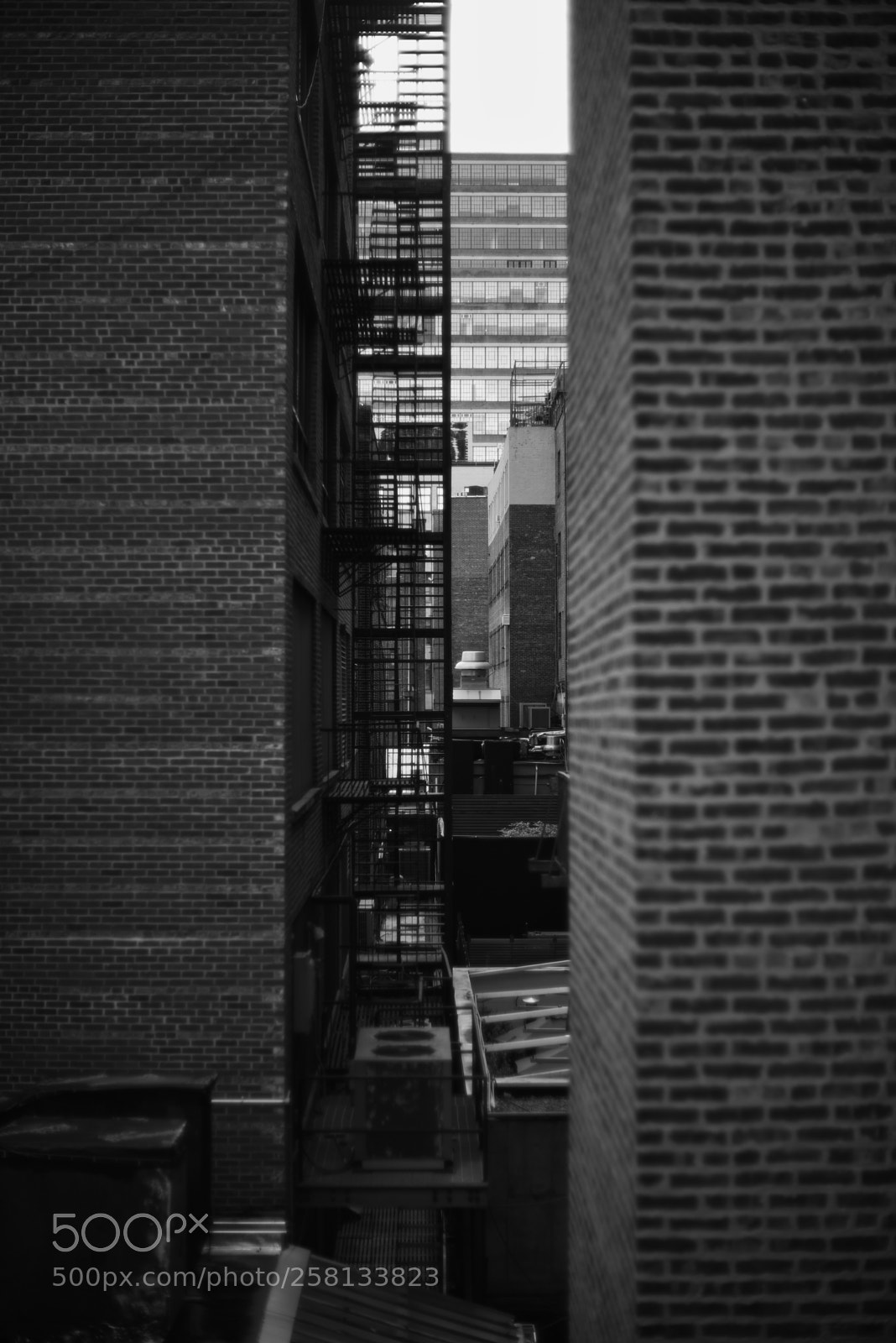 Nikon D750 sample photo. The high line, ny photography