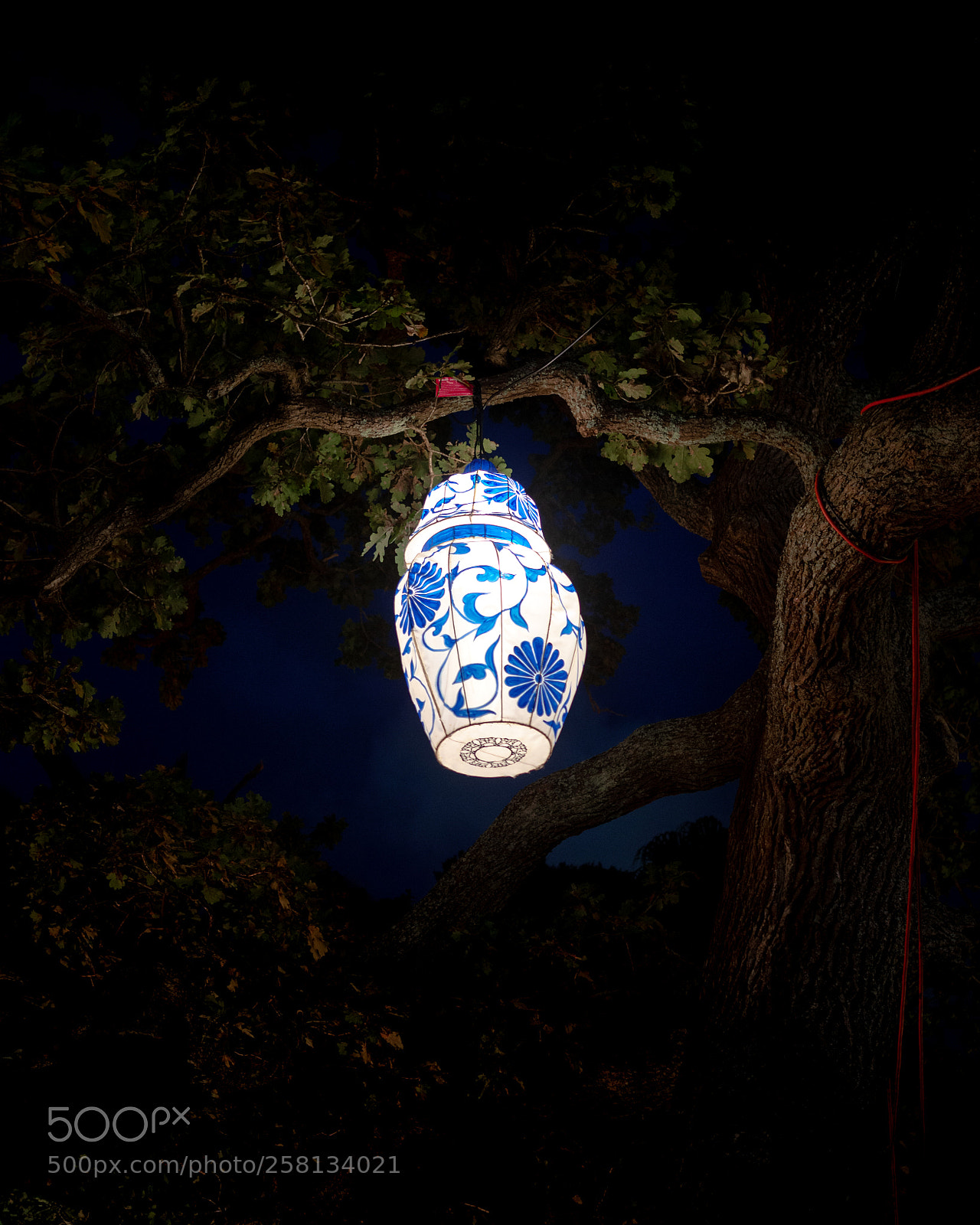 Olympus OM-D E-M10 II sample photo. Lantern lights photography