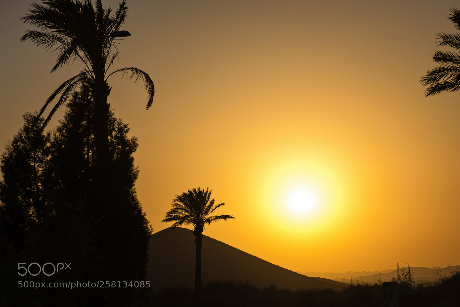 Nikon D610 sample photo. Golden andalusian sunset photography