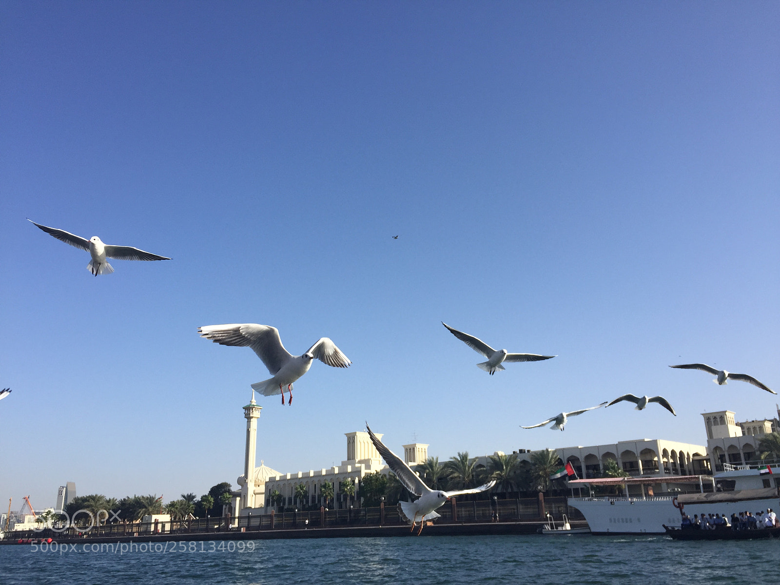 Apple iPhone 6 sample photo. Dubai creek photography