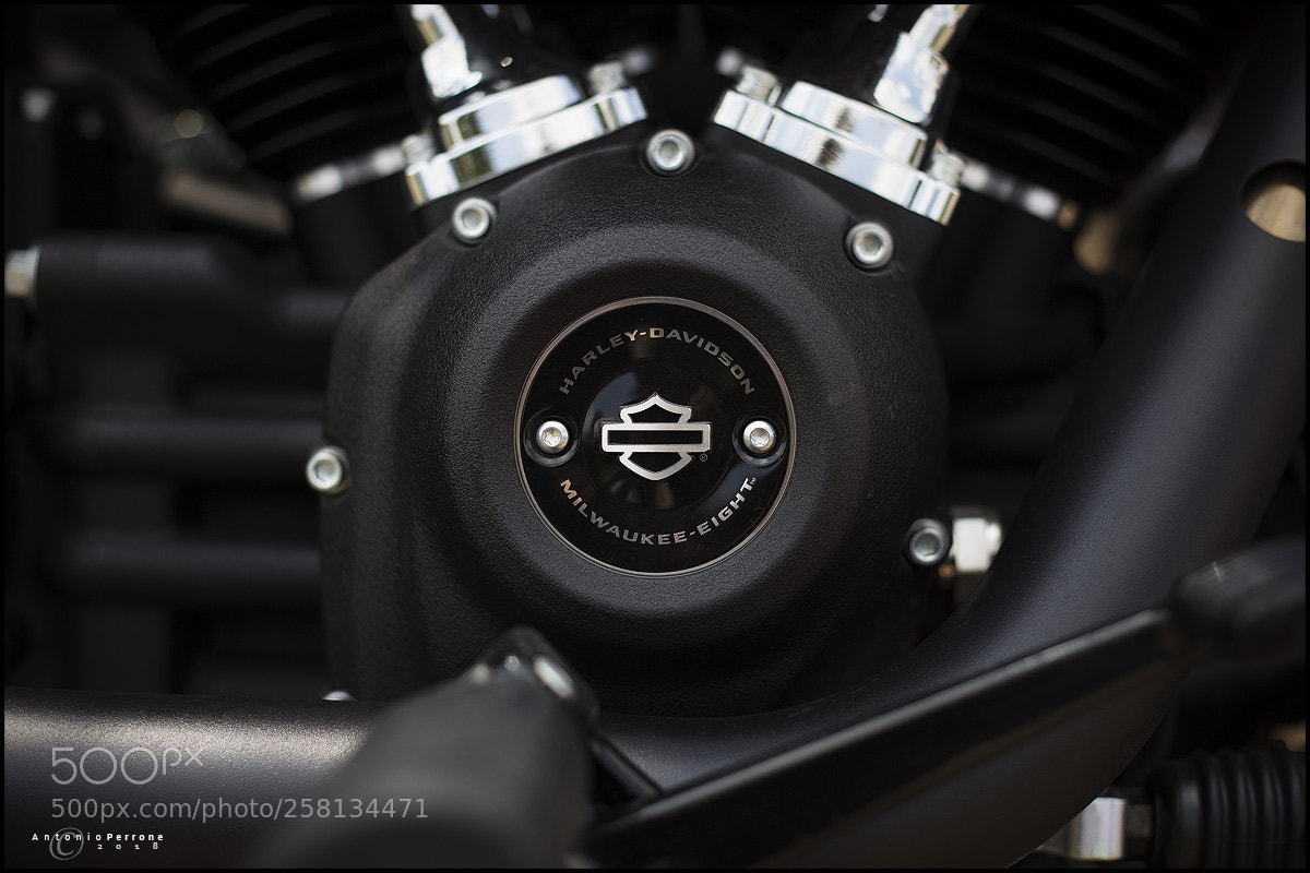 Canon EOS 6D sample photo. Milwaukee photography