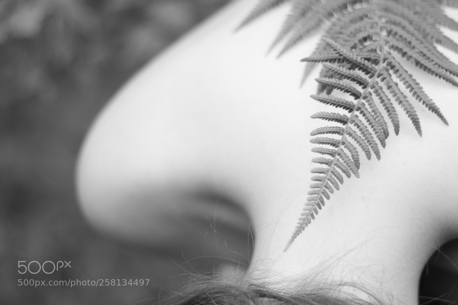 Canon EOS 7D Mark II sample photo. Untitled photography